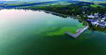 Lake ecosystems